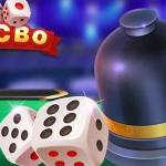 Come Gioca Gioco Judi Sicbo per Principianti