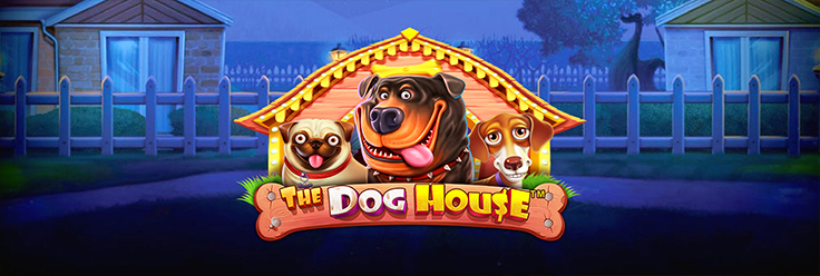 the dog house